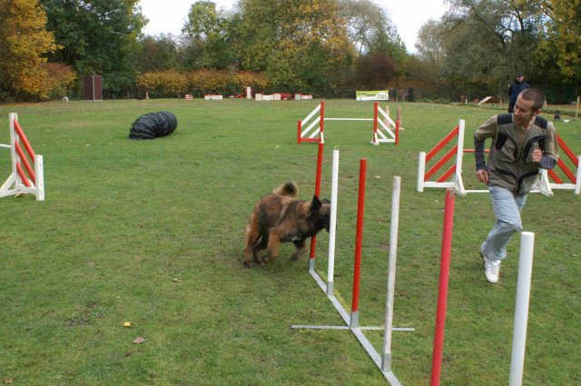 agility 2011-10-30